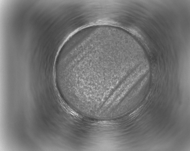 X0000051891280200507222006