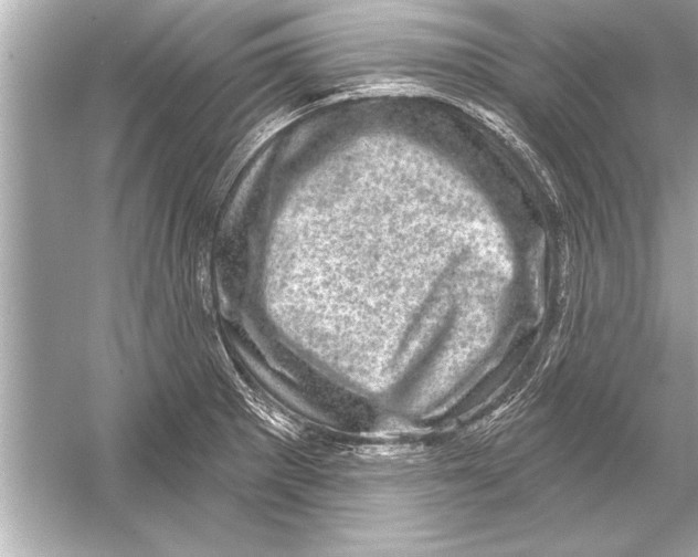 X0000051891281200507222006