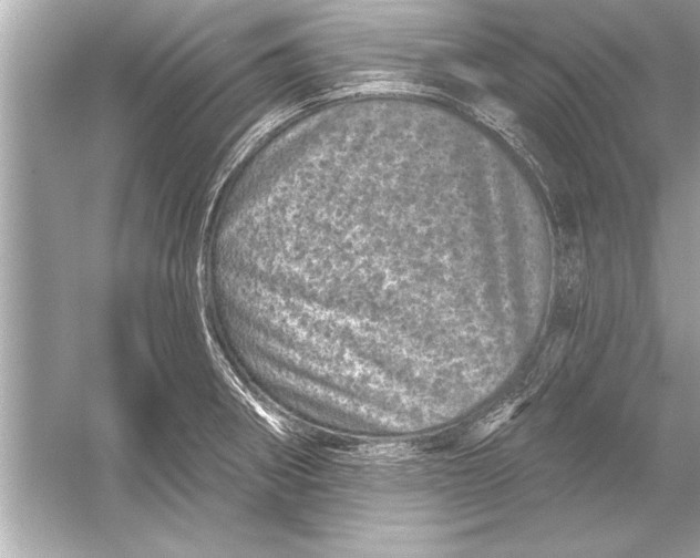 X0000051891282200507222006