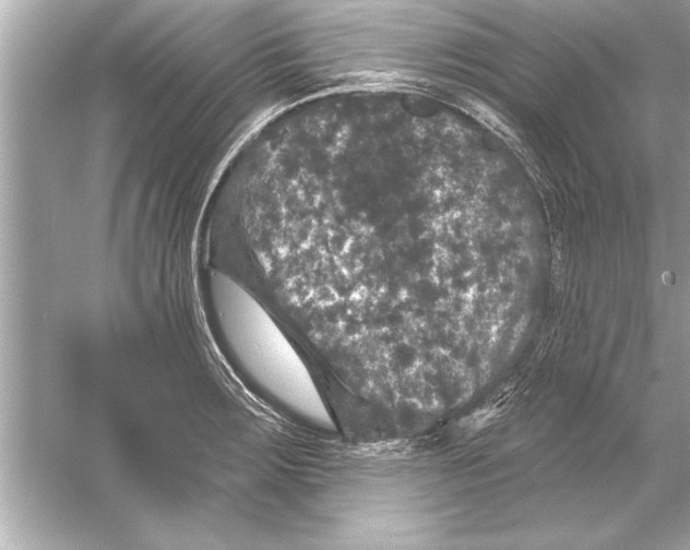 X0000051891283200507222006