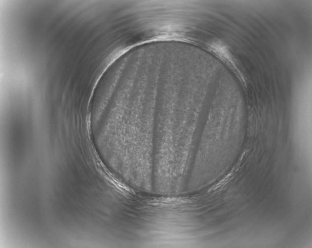 X0000051891284200507222006