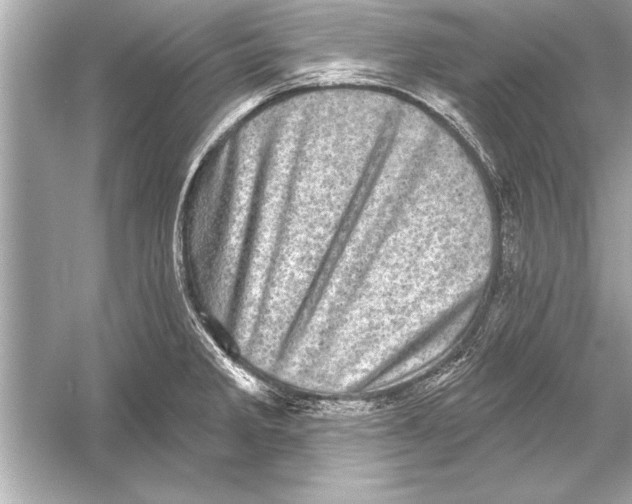 X0000051891285200507222006