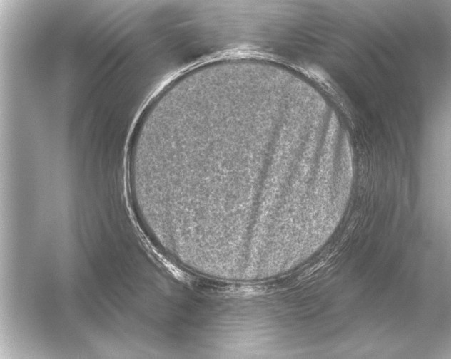 X0000051891286200507222006