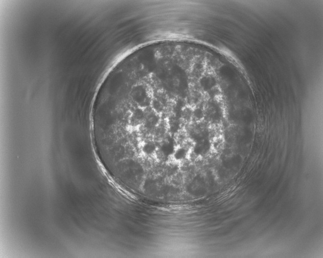 X0000051891287200507222006