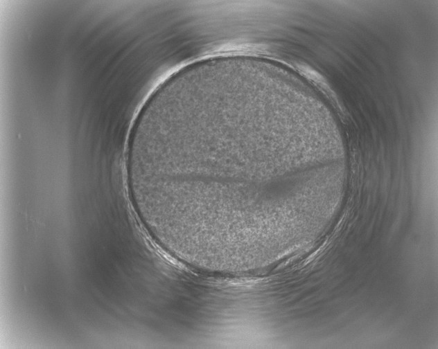 X0000051891288200507222006