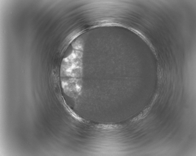 X0000051891289200507222006