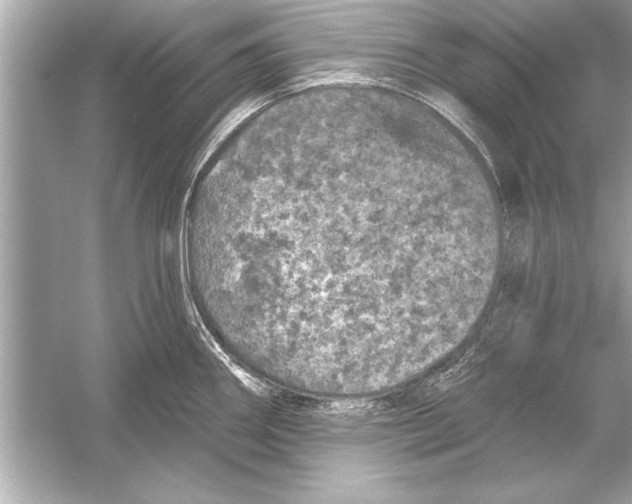 X0000051891290200507222006