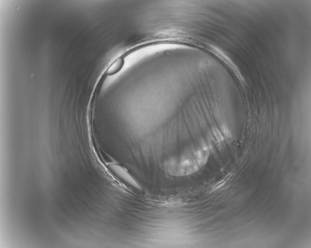 X0000051891291200507222006