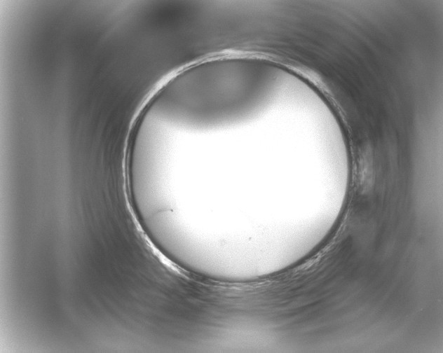 X0000051891294200507222006