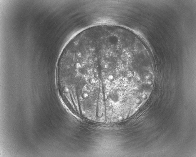 X0000051891295200507222006