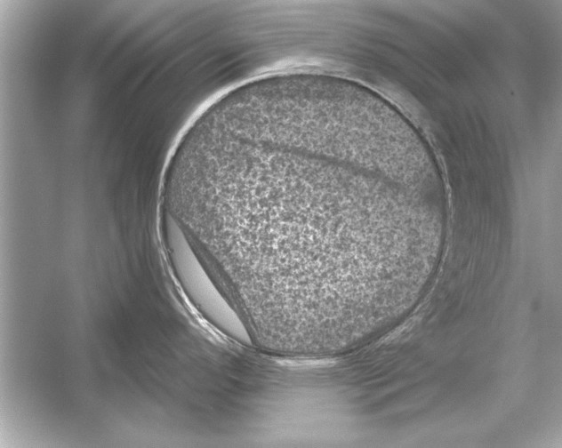 X0000051891296200507222006