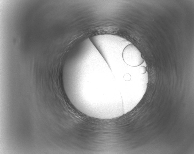 X0000051891297200507222005