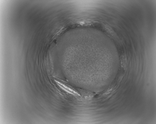 X0000051891298200507222005