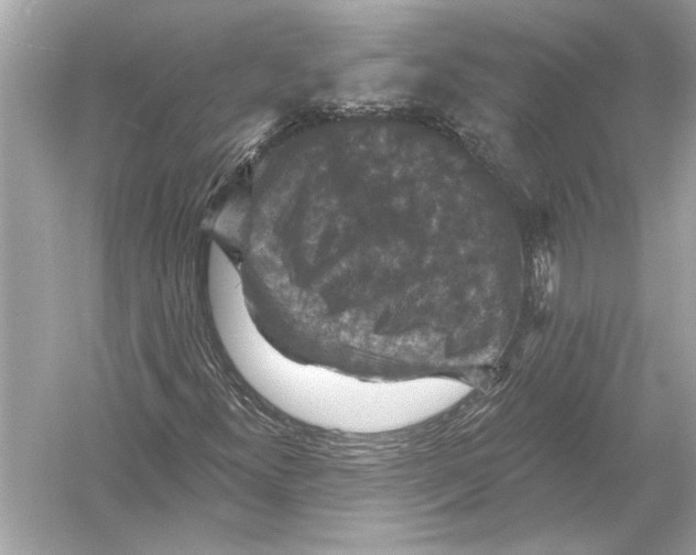 X0000051891300200507222005