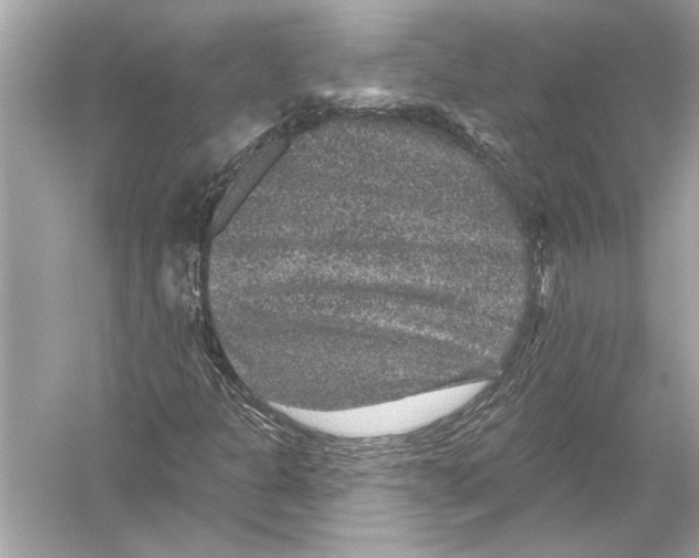 X0000051891301200507222005