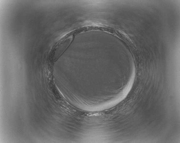 X0000051891303200507222005