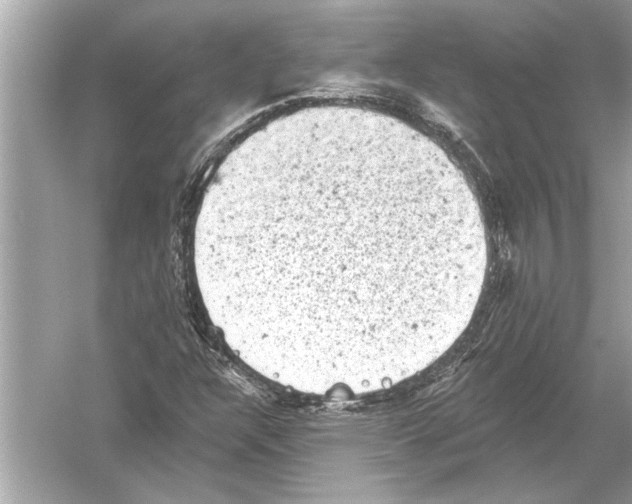 X0000051891304200507222005