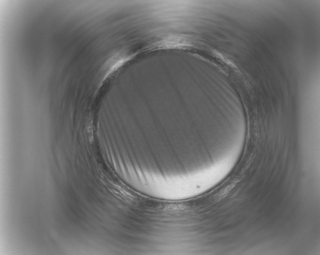 X0000051891306200507222005