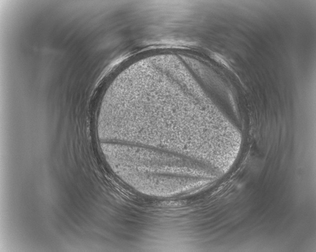 X0000051891307200507222005