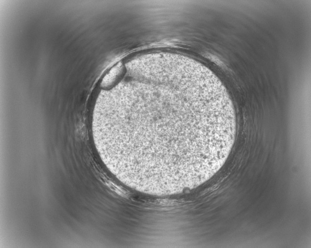 X0000051891308200507222005