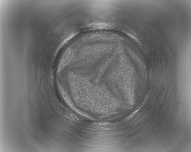 X0000051891309200507222005