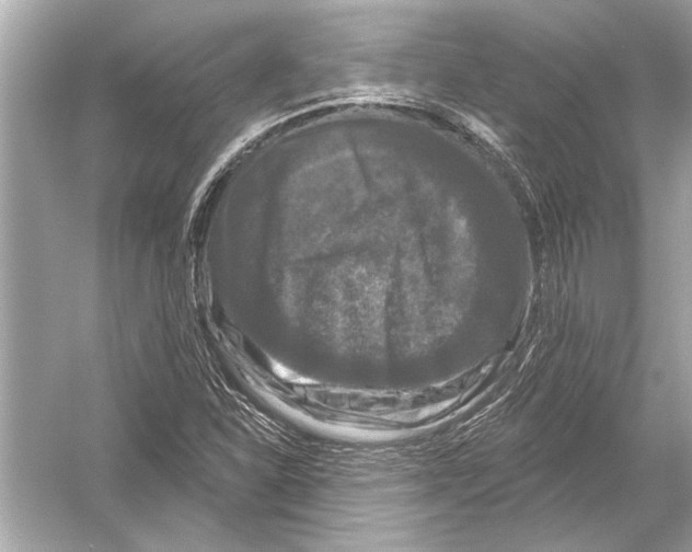 X0000051891310200507222005