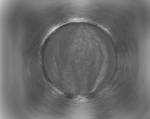 X0000051891311200507222005