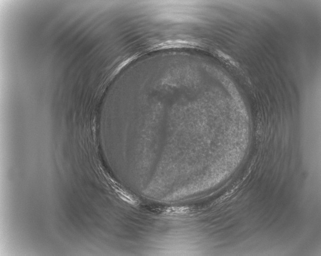 X0000051891313200507222005