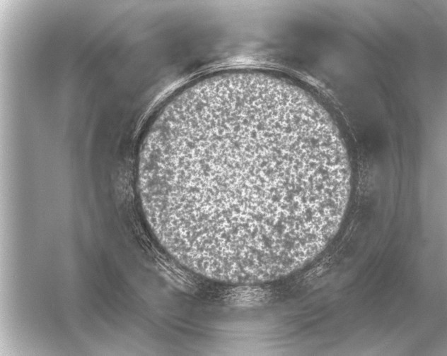 X0000051891314200507222005