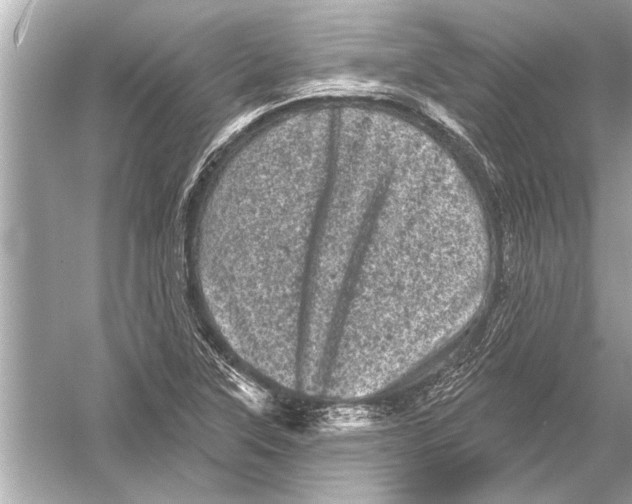 X0000051891315200507222005