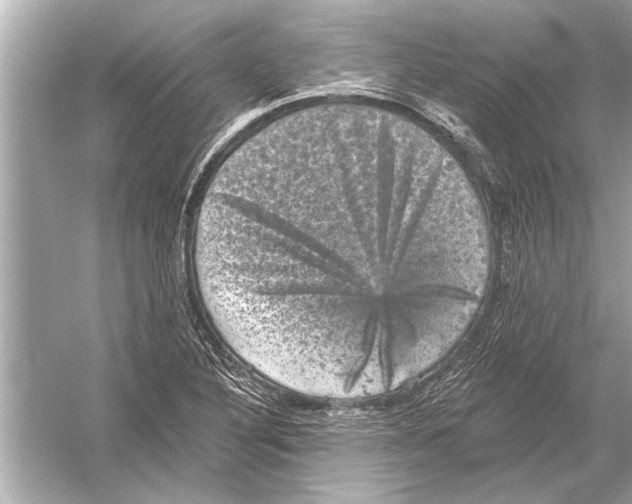 X0000051891316200507222005