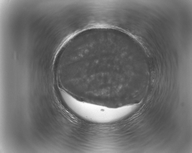 X0000051891319200507222005