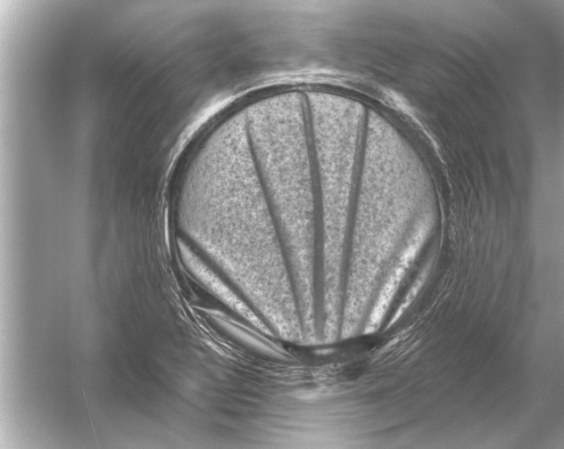 X0000051891320200507222005