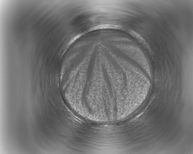 X0000051891321200507222005