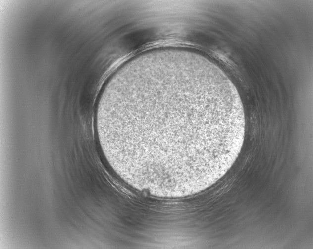 X0000051891322200507222005