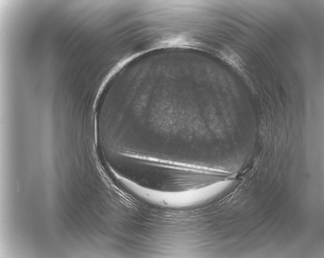 X0000051891323200507222005