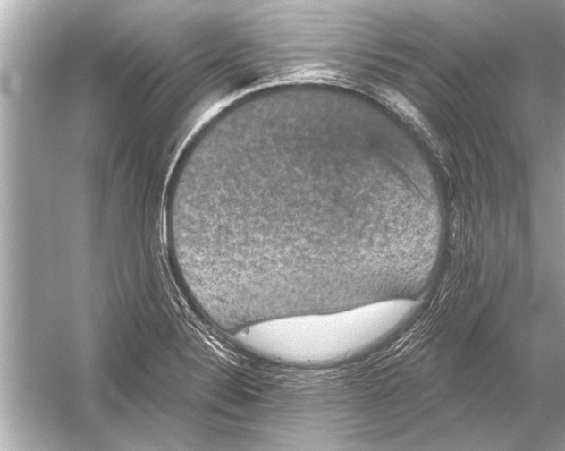 X0000051891324200507222005