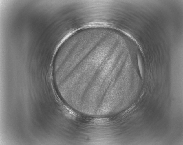 X0000051891325200507222005