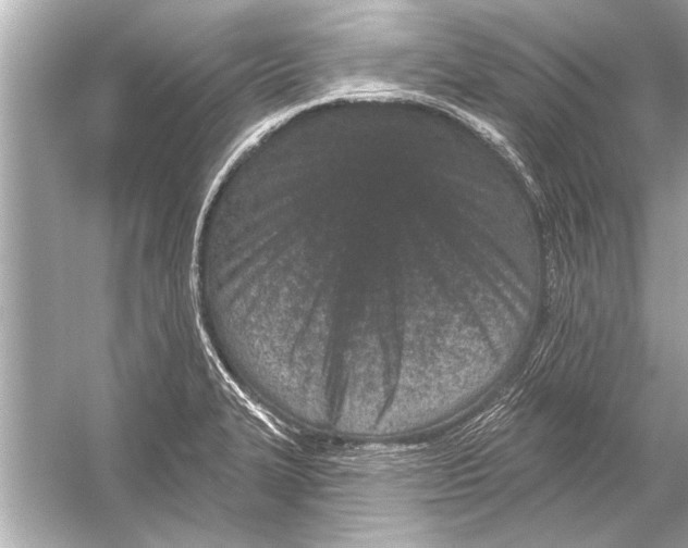 X0000051891327200507222005