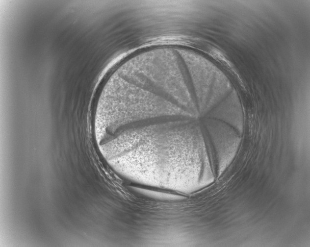 X0000051891328200507222005