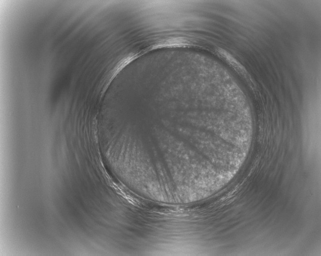 X0000051891329200507222005