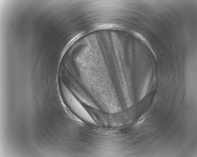 X0000051891330200507222005