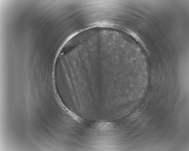 X0000051891331200507222005