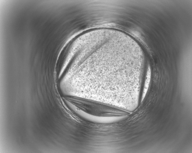 X0000051891332200507222006