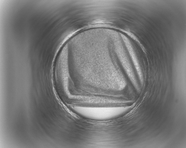 X0000051891333200507222006