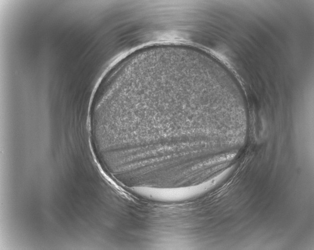 X0000051891335200507222006