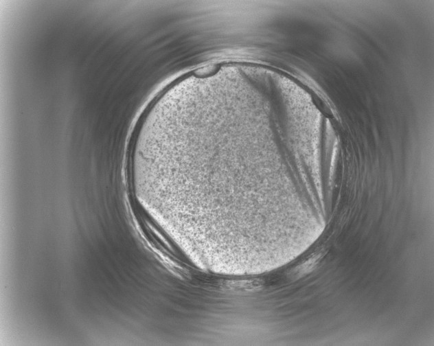 X0000051891339200507222006