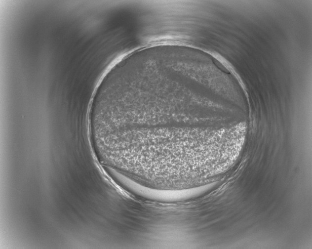 X0000051891341200507222006