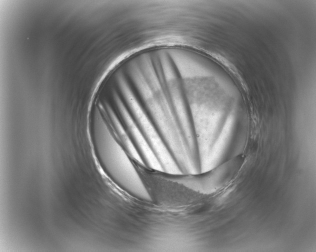 X0000051891342200507222006