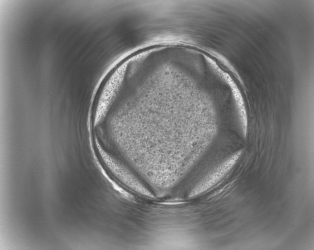 X0000051891343200507222006